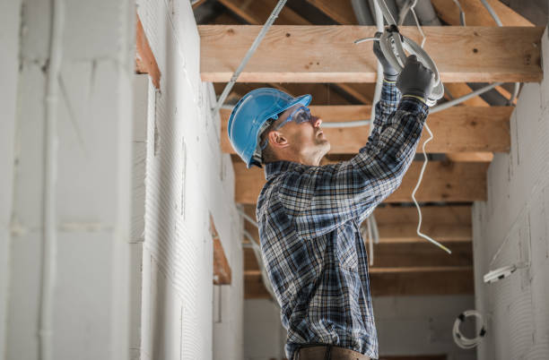 Best Affordable Electrician  in Ravenna, MI