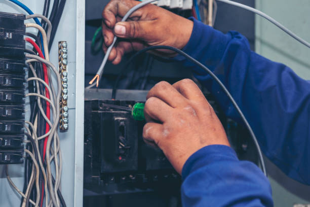 Best Home Electrical Repair  in Ravenna, MI